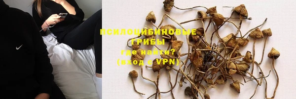 дурь Алексеевка