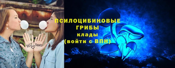 дурь Алексеевка